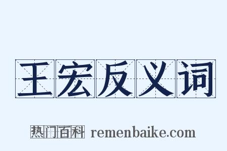 王宏反义词是什么意思的图片
